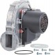 Wentylator GB162 lub 73922