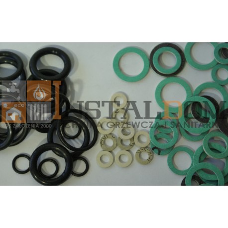 FERROLI ZESTAW USZCZELEK BLUEHELIX 25K50